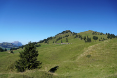 DSC07527