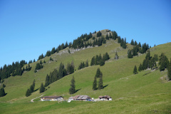 DSC07529