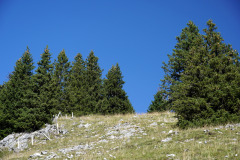 DSC07543