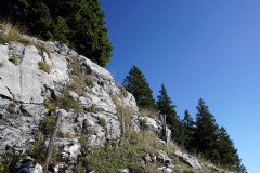 DSC07544