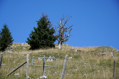 DSC07546