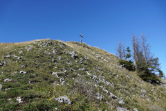 DSC07551