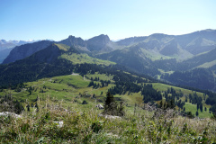 DSC07555