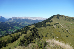 DSC07556