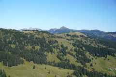 DSC07559