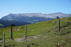 DSC07603