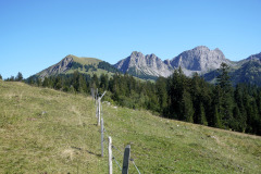 DSC07605
