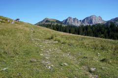 DSC07606