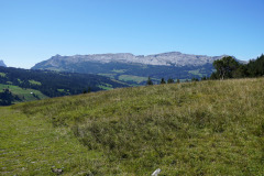 DSC07609