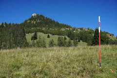 DSC07610