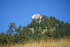 DSC07615