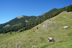 DSC07616