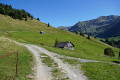 DSC07620