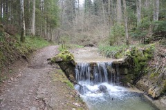 DSCN1392