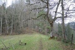 DSCN1398