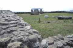DSCN1408