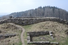 DSCN1411