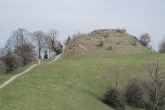 DSCN1415