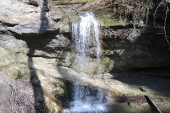 DSCN1433