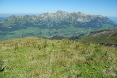 dscn0331