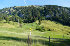 DSC07017