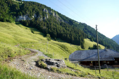 DSC07021