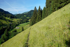DSC07025