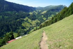 DSC07043