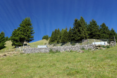 DSC07044