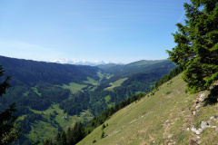 DSC07050