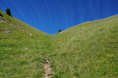 DSC07055