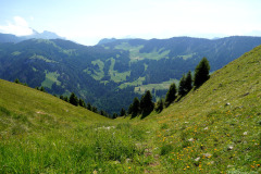 DSC07056
