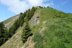 DSC07065