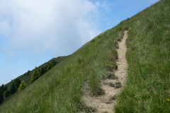 DSC07072