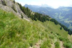 DSC07076