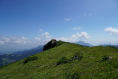 DSC07083