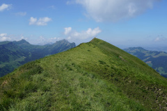DSC07091