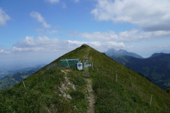 DSC07113