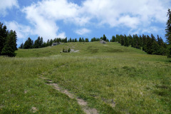 DSC07129