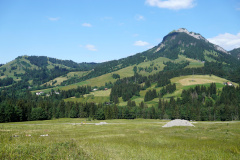 DSC07137