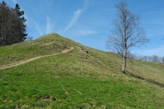 DSCN1674