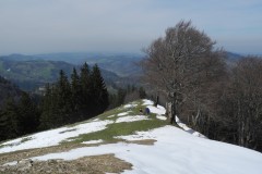 DSCN1679b