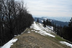 DSCN1679c