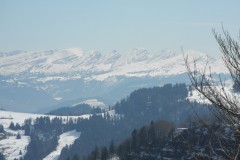 DSCN1683