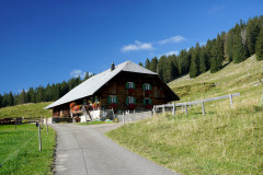 DSC07394