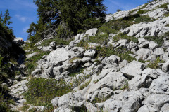 DSC07409