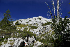 DSC07413