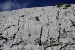 DSC07438