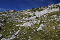 DSC07443