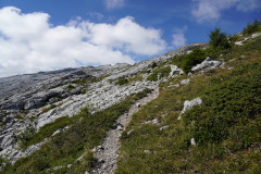 DSC07447